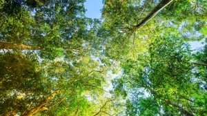 Sustainability_16x9